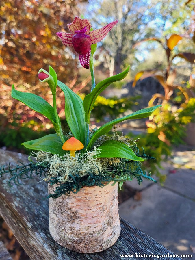 Chaba's Clay Flowers