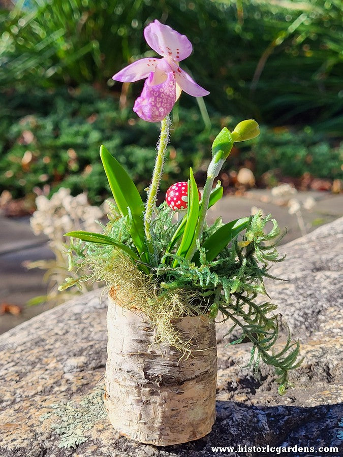 Chaba's Clay Flowers