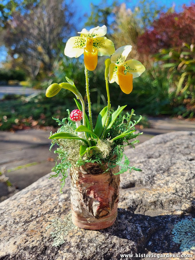 Chaba's Clay Flowers