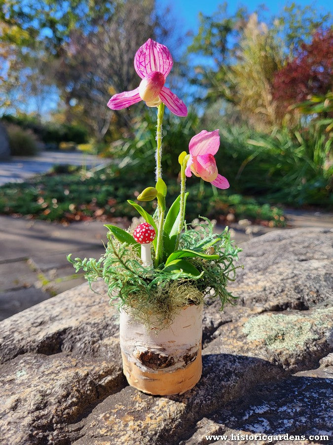 Chaba's Clay Flowers