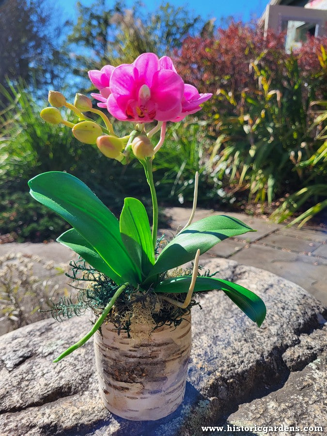 Chaba's Clay Flowers