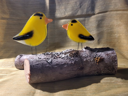 Fused Glass - American Goldfinch Adult & Chick
