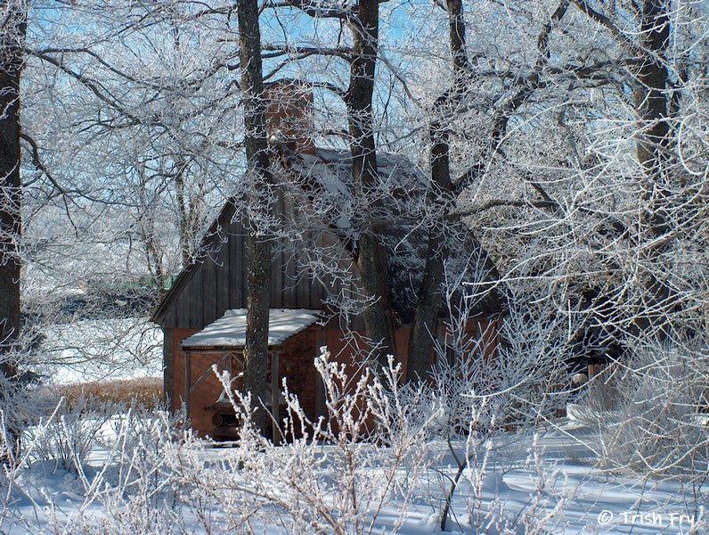 Photo Cards - Gardens Winter & Holiday