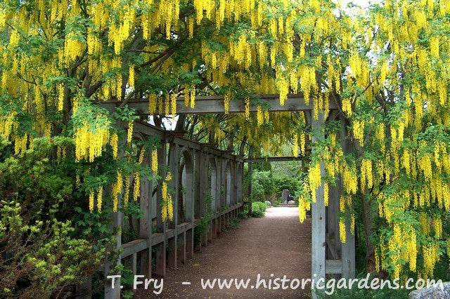 Historic Gardens Jigsaw Puzzle - 500 pc