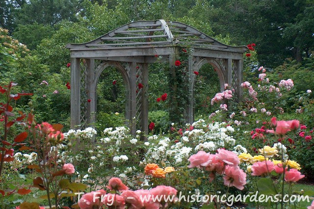 Historic Gardens Jigsaw Puzzle - 500 pc