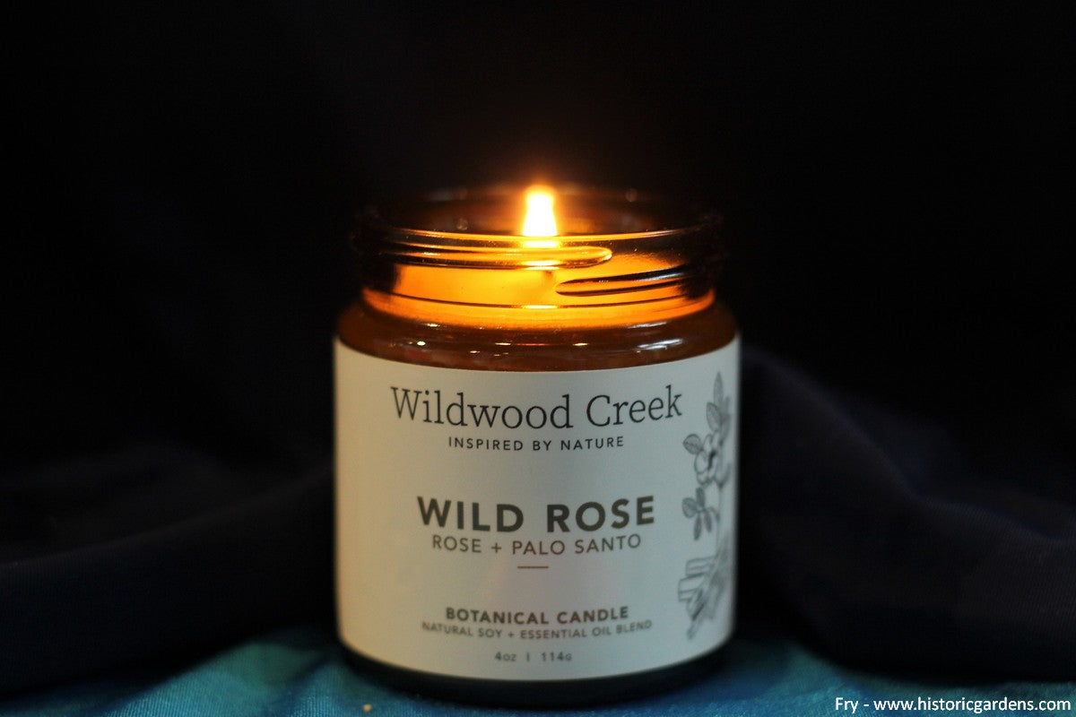 Wildwood Creek - Botanical Candles