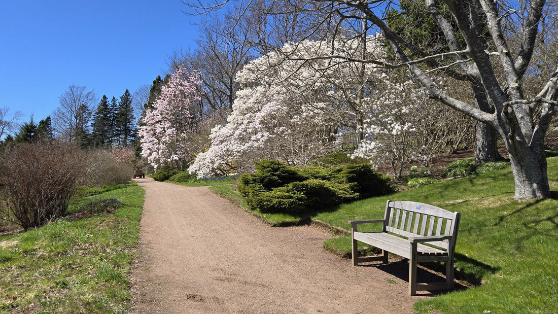 Bloom Report - May 2, 2025