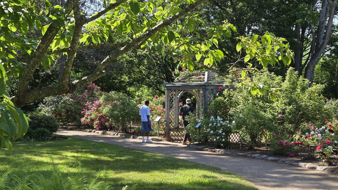 Bloom Report - June 30, 2025