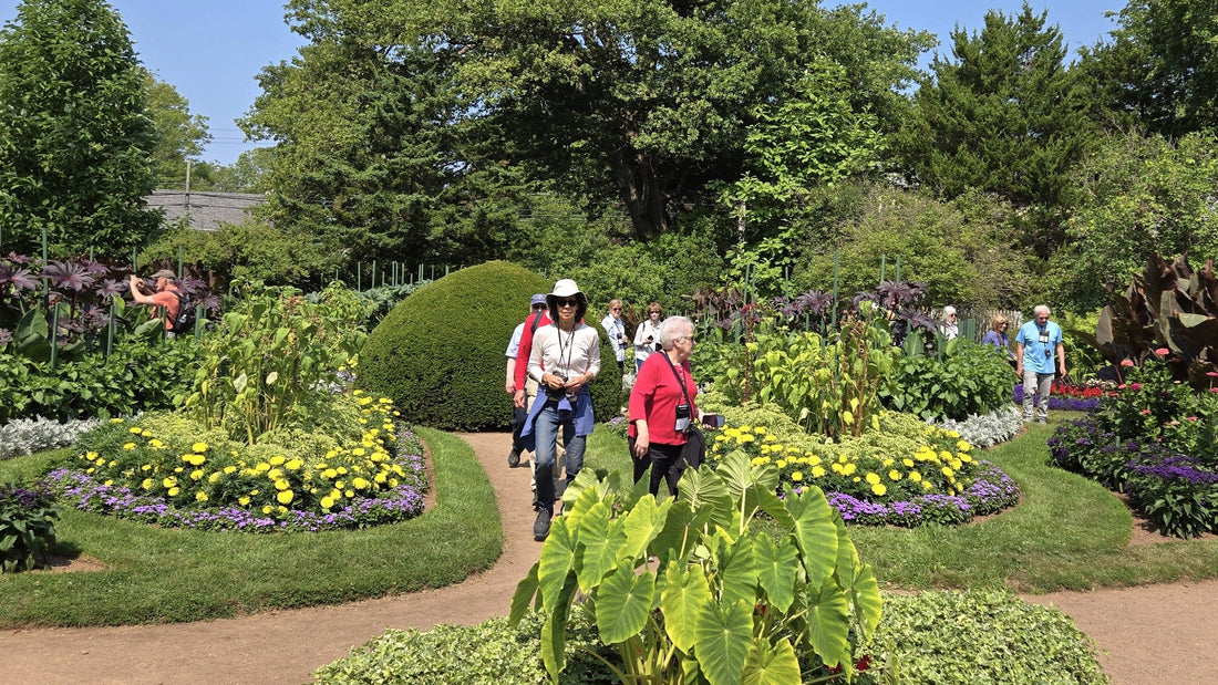 Bloom Report - August 6, 2025