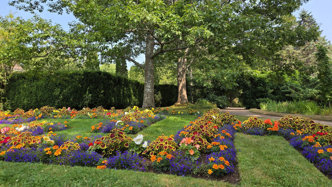 Bloom Report - August 8, 2025