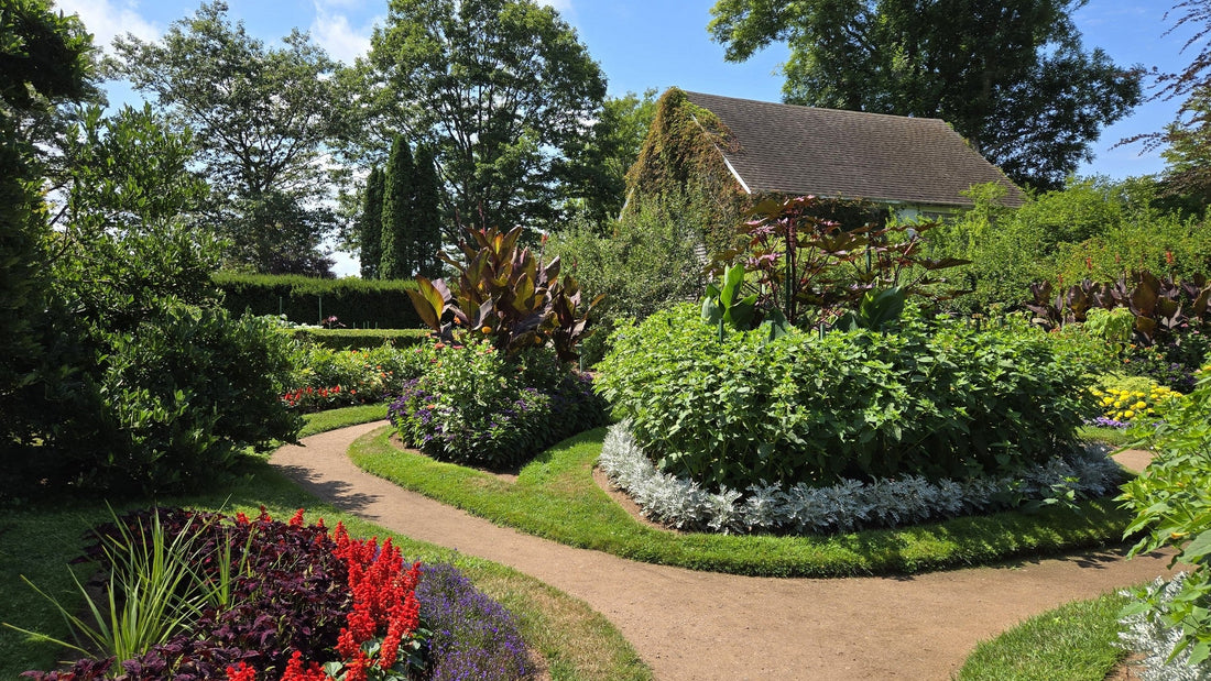 Bloom Report - August 21, 2025