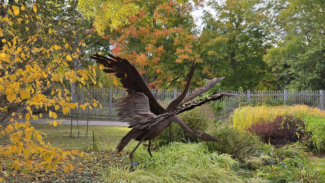 Bloom Report - October 17, 2025