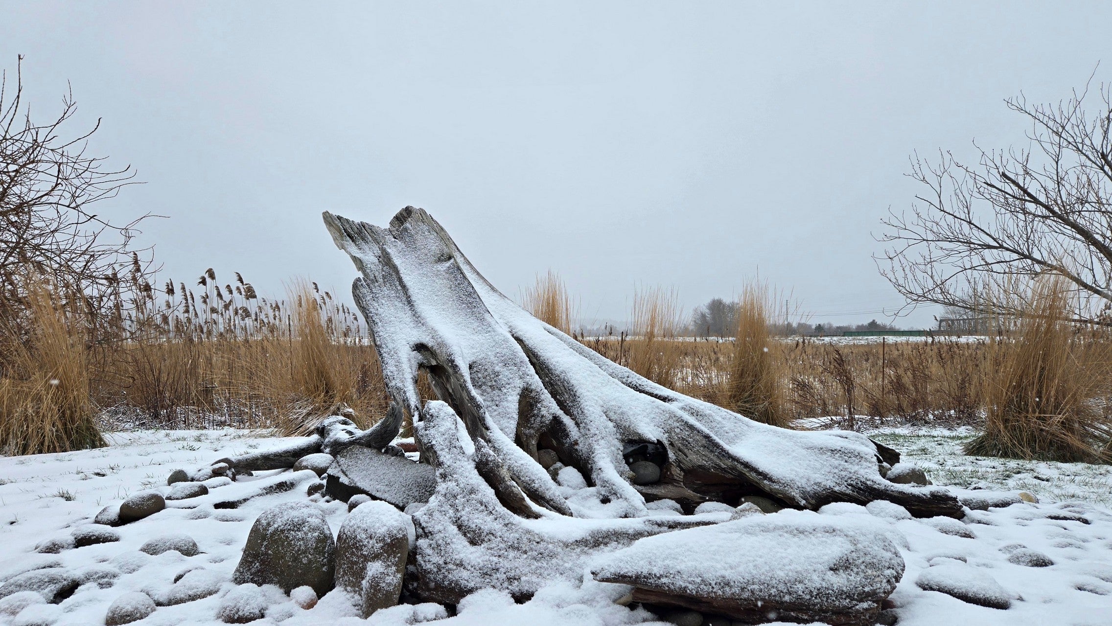 Bloom Report - December 28, 2025