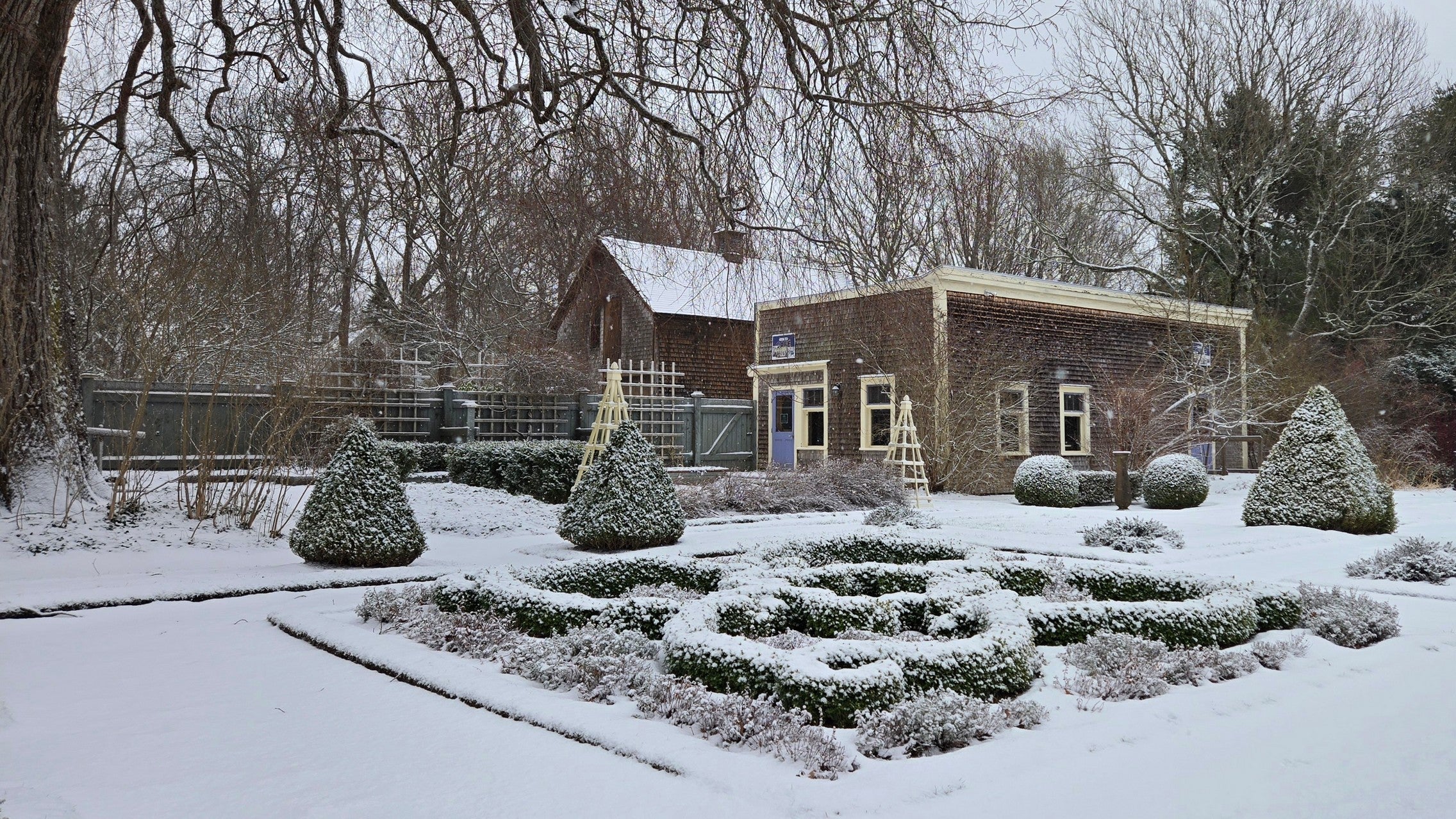 Bloom Report - December 31, 2025