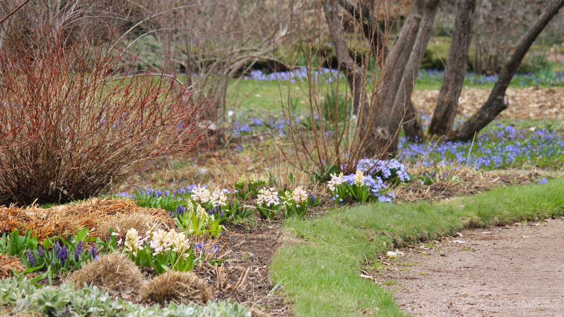 Bloom Report - April 19, 2025