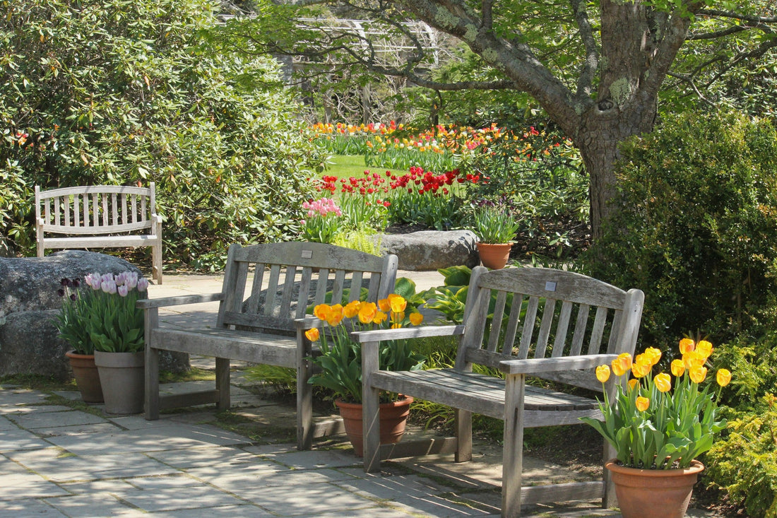 Bloom Report - May 16, 2025