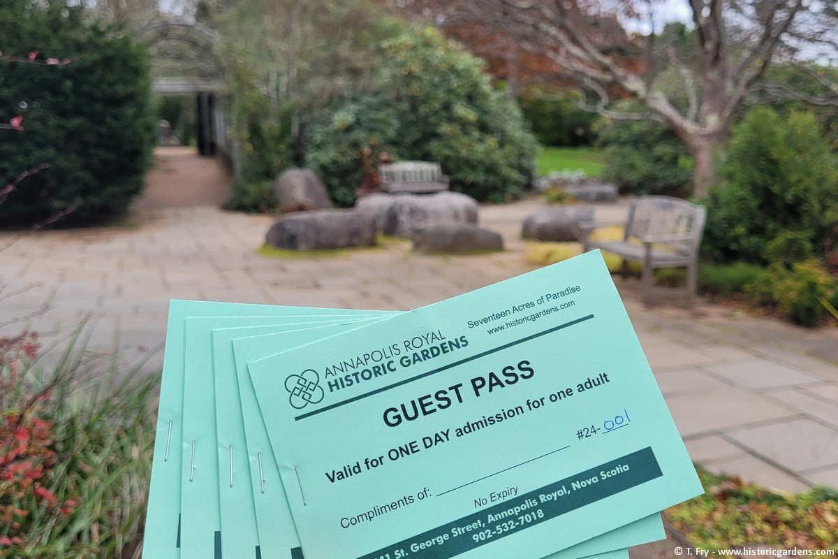Guest Passes - Member's Special