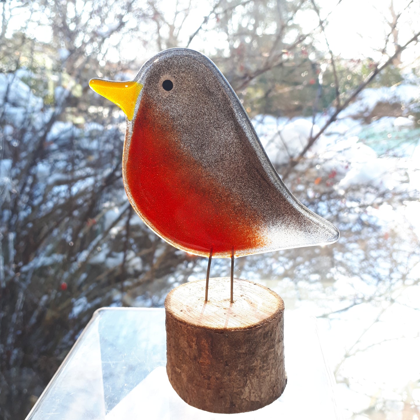 Fused Glass - Robin