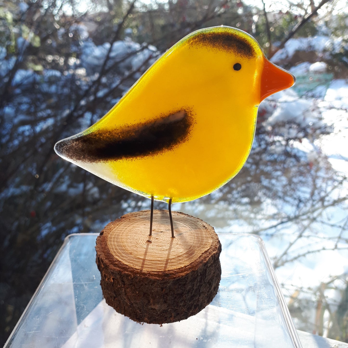 Fused Glass - Goldfinch