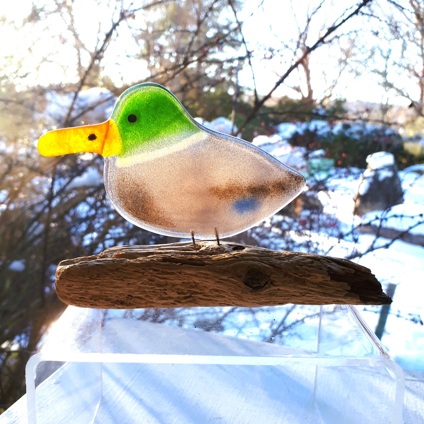 Fused Glass - Mallard