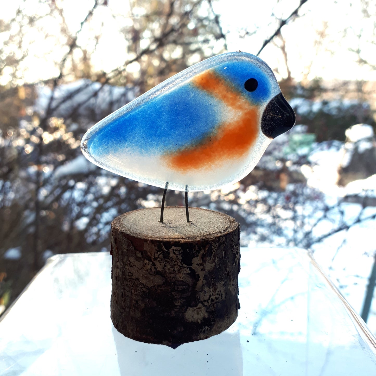 Fused Glass - Eastern Bluebird Chick