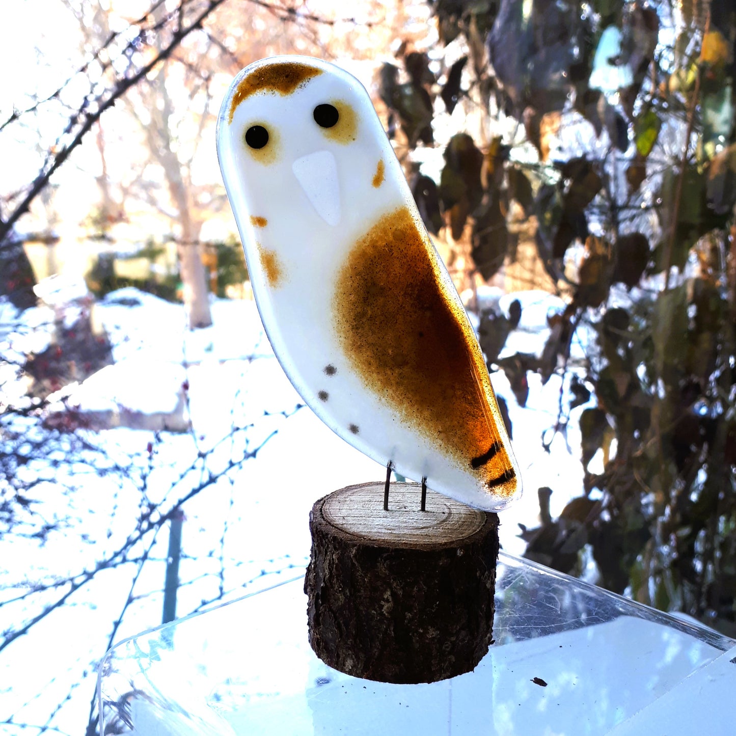 Fused Glass - Owl