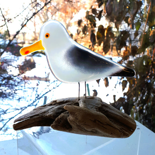 Fused Glass - Sea Gull