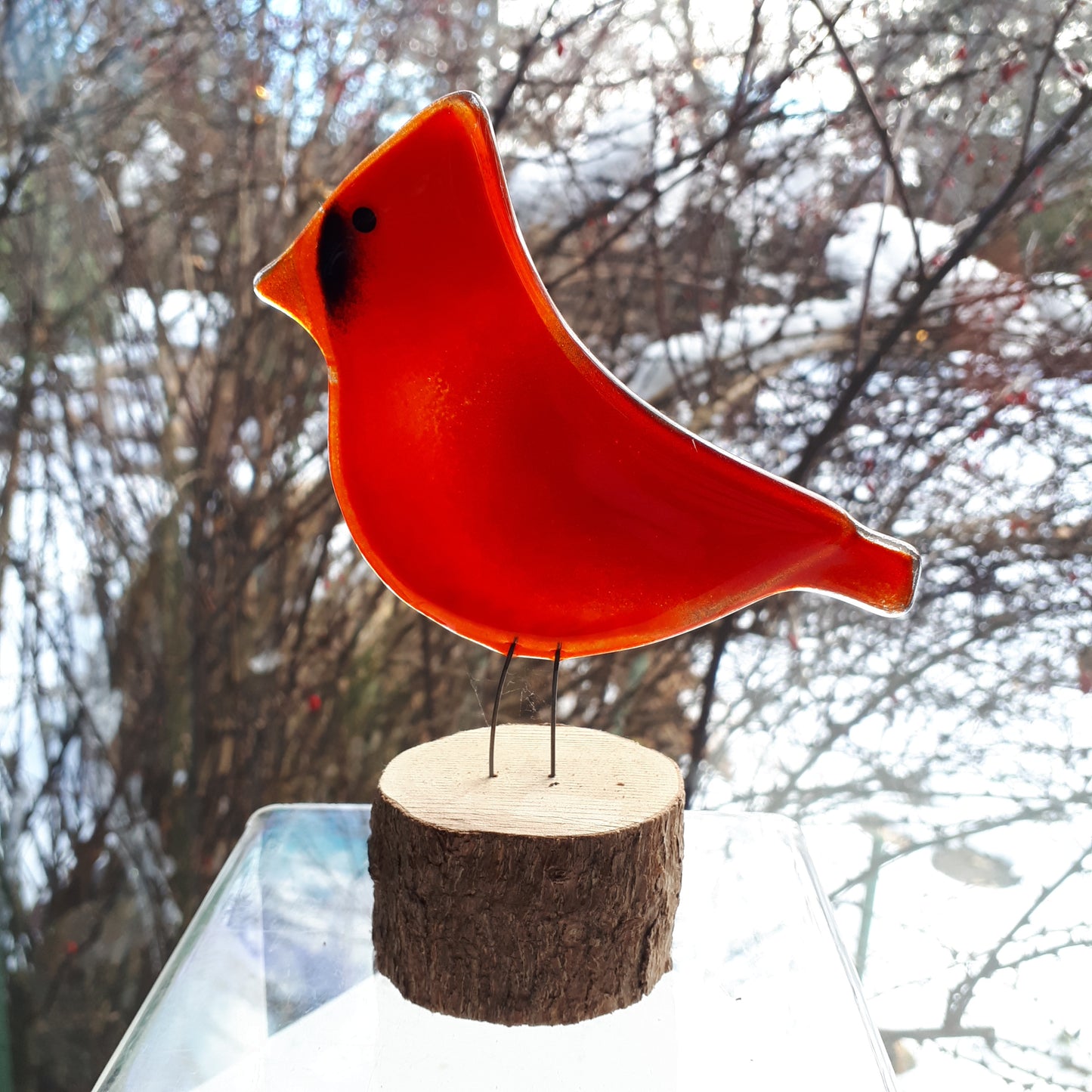 Fused Glass - Cardinal