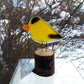 Fused Glass - Goldfinch Chick