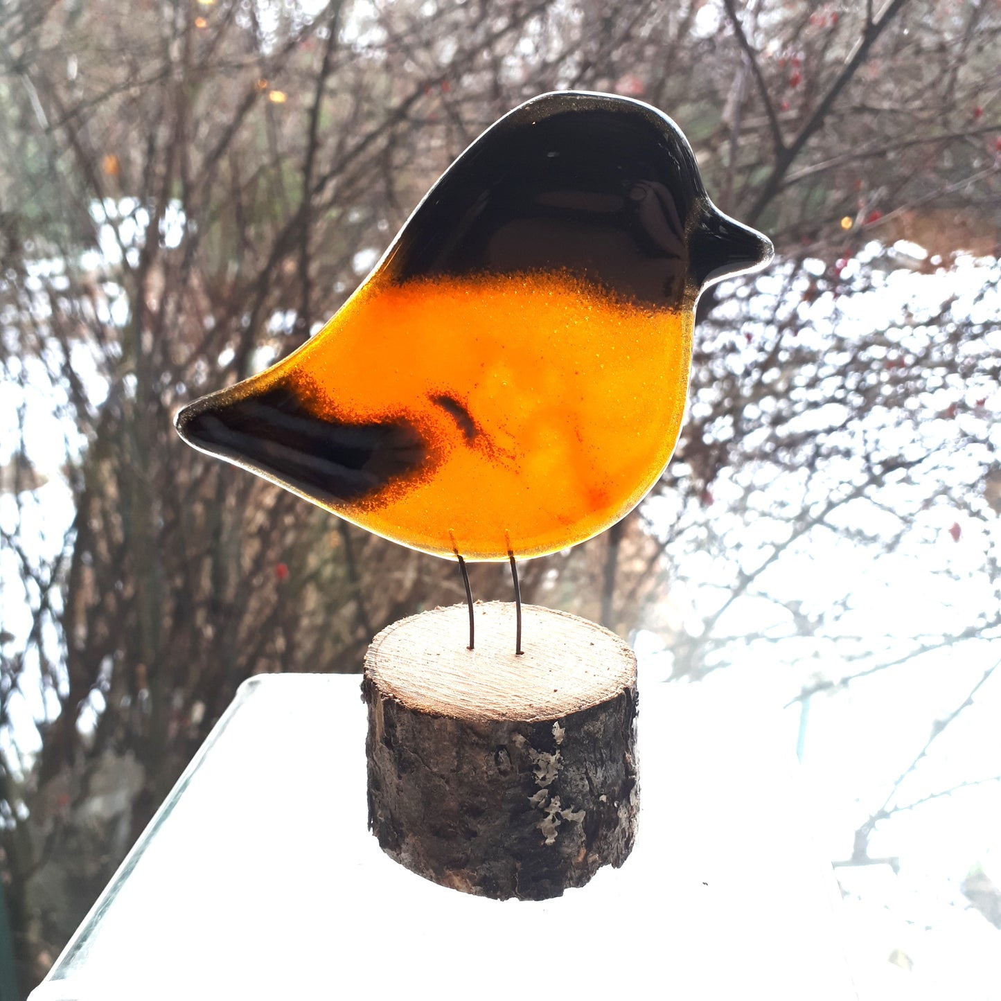 Fused Glass - Oriole