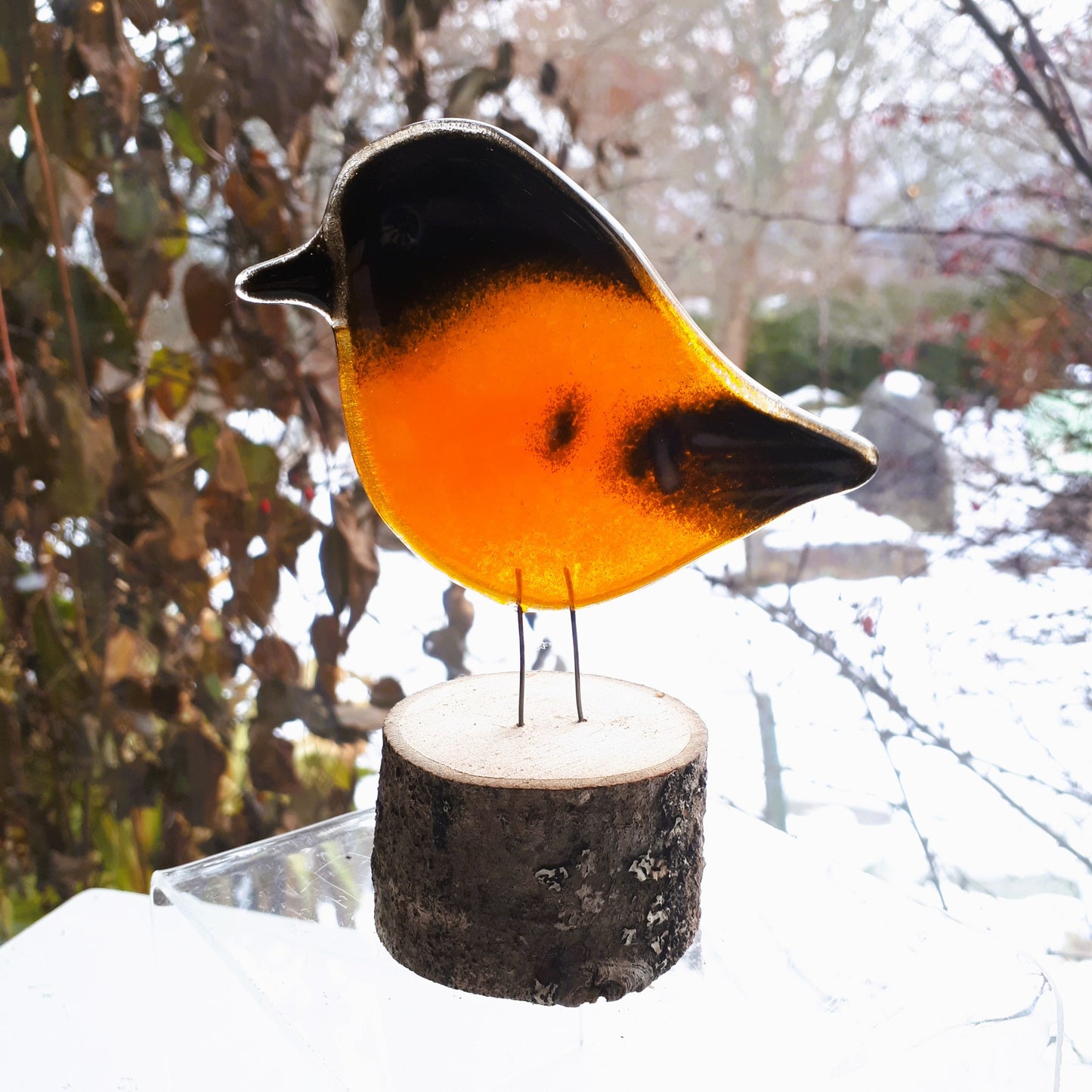 Fused Glass - Oriole