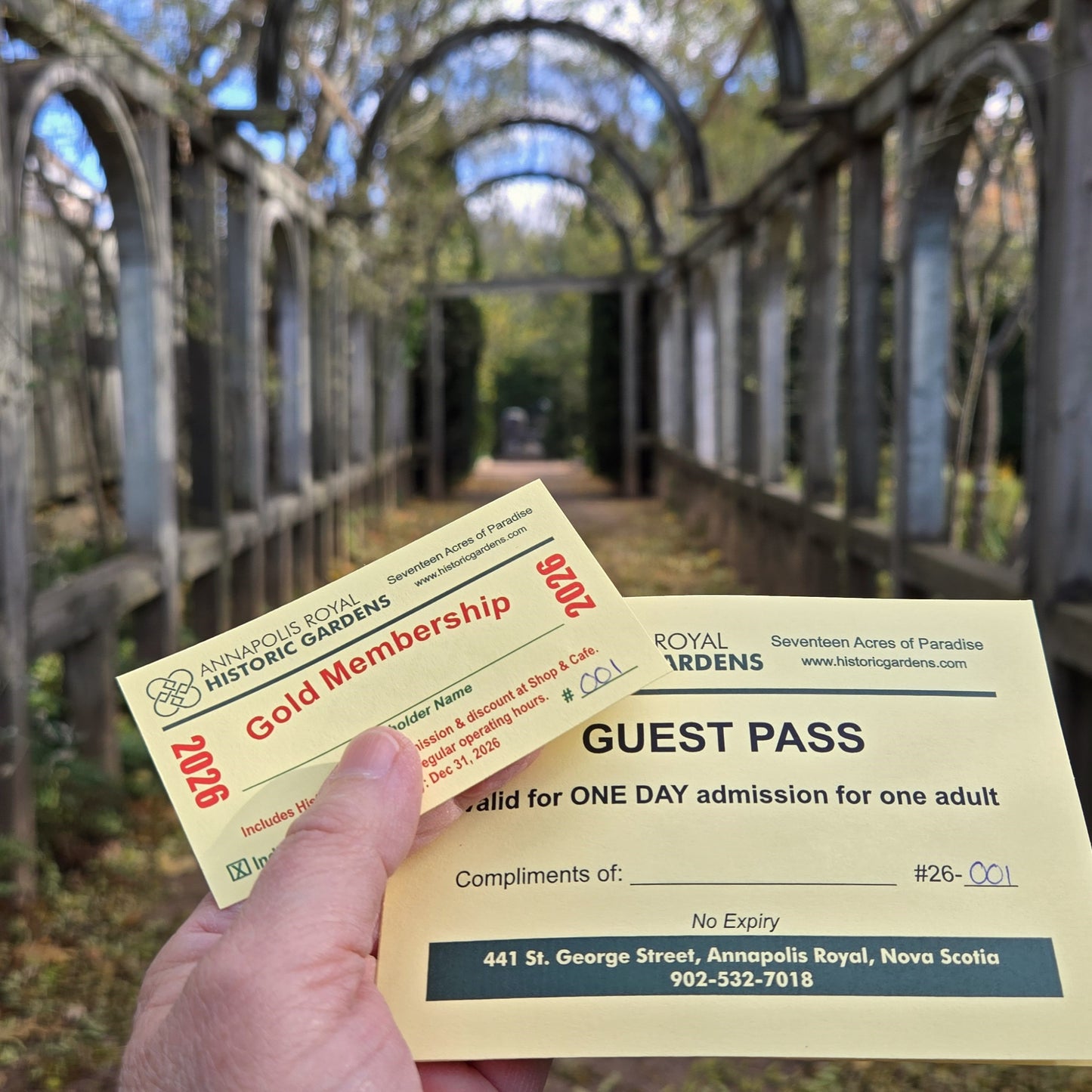 GOLD Membership - Individual