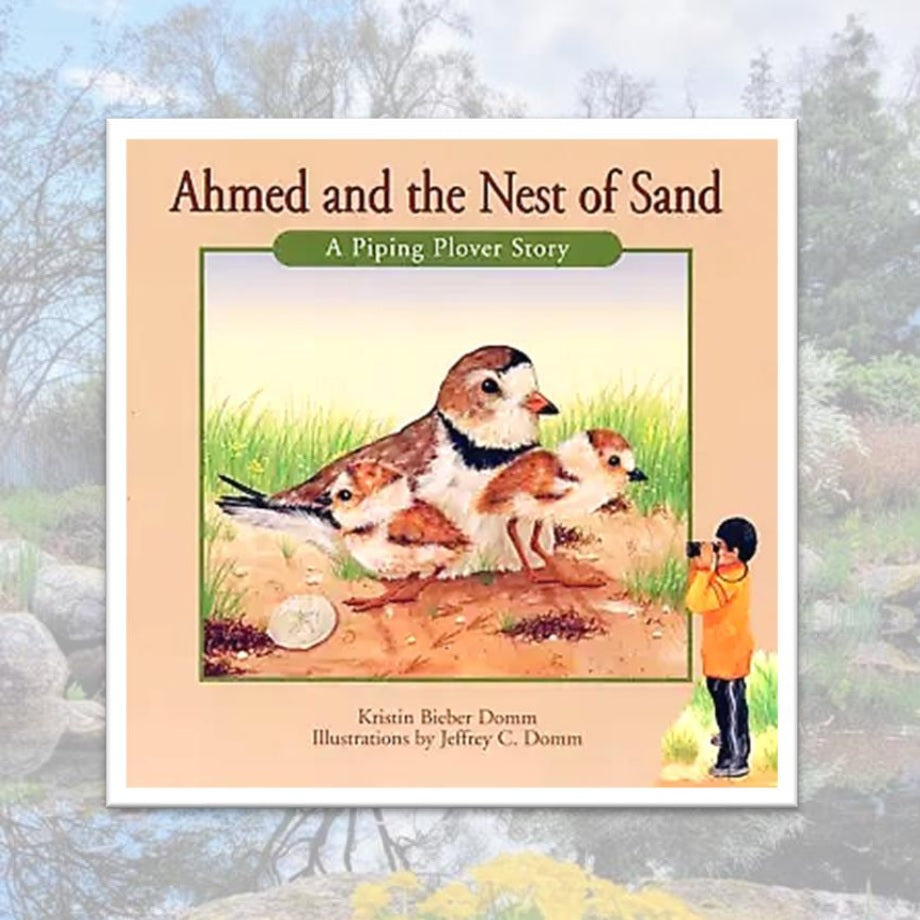 Ahmed and the Nest of Sand