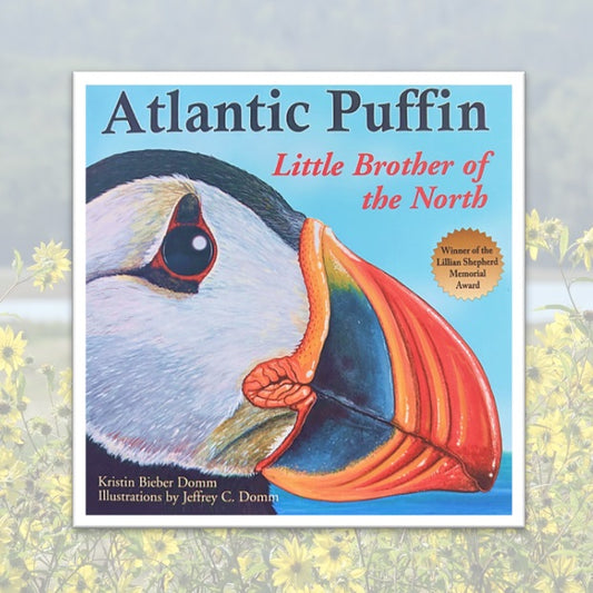 Atlantic Puffin