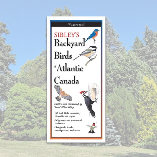 Folding Guide - Sibley's Backyard Birds of Atlantic Canada