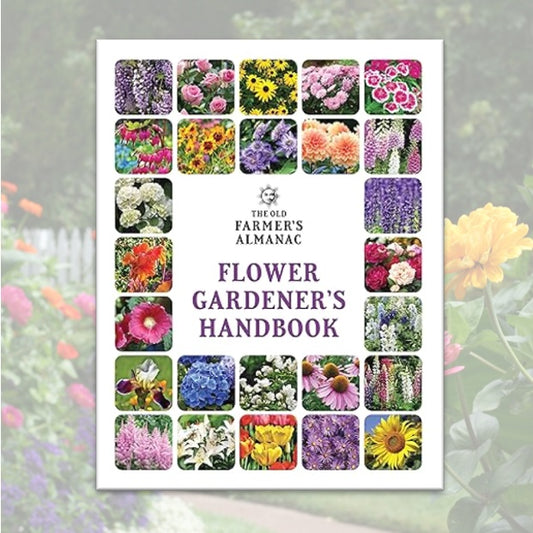 The Old Farmer's Almanac: Grow Beautiful Flowers!