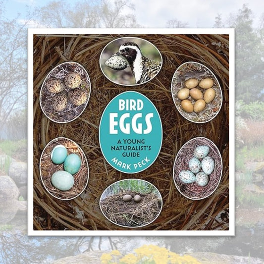 Bird Eggs