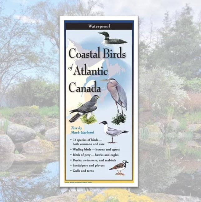 Folding Guide - Coastal Birds of Atlantic Canada
