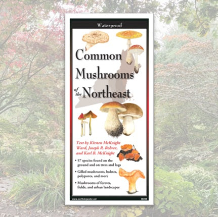 Folding Guide - Common Mushrooms of the Northeast
