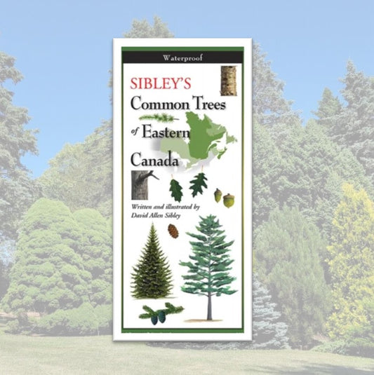 Folding Guide - Sibley's Common Trees of Eastern Canada