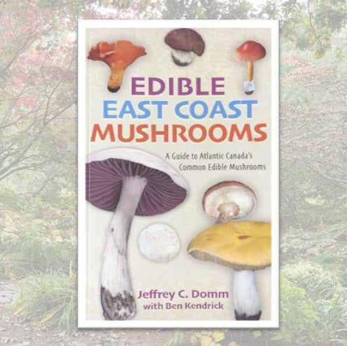 Edible East Coast Mushrooms