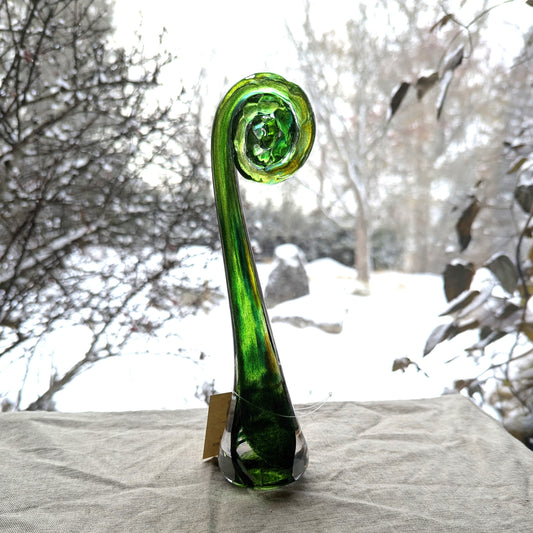 Glass Roots - Fiddlehead