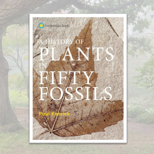 A History of Plants in Fifty Fossils