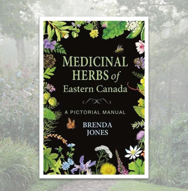 Medicinal Herbs of Eastern Canada