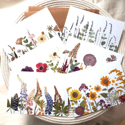 Seek & Bloom Note Card Mixed Sets