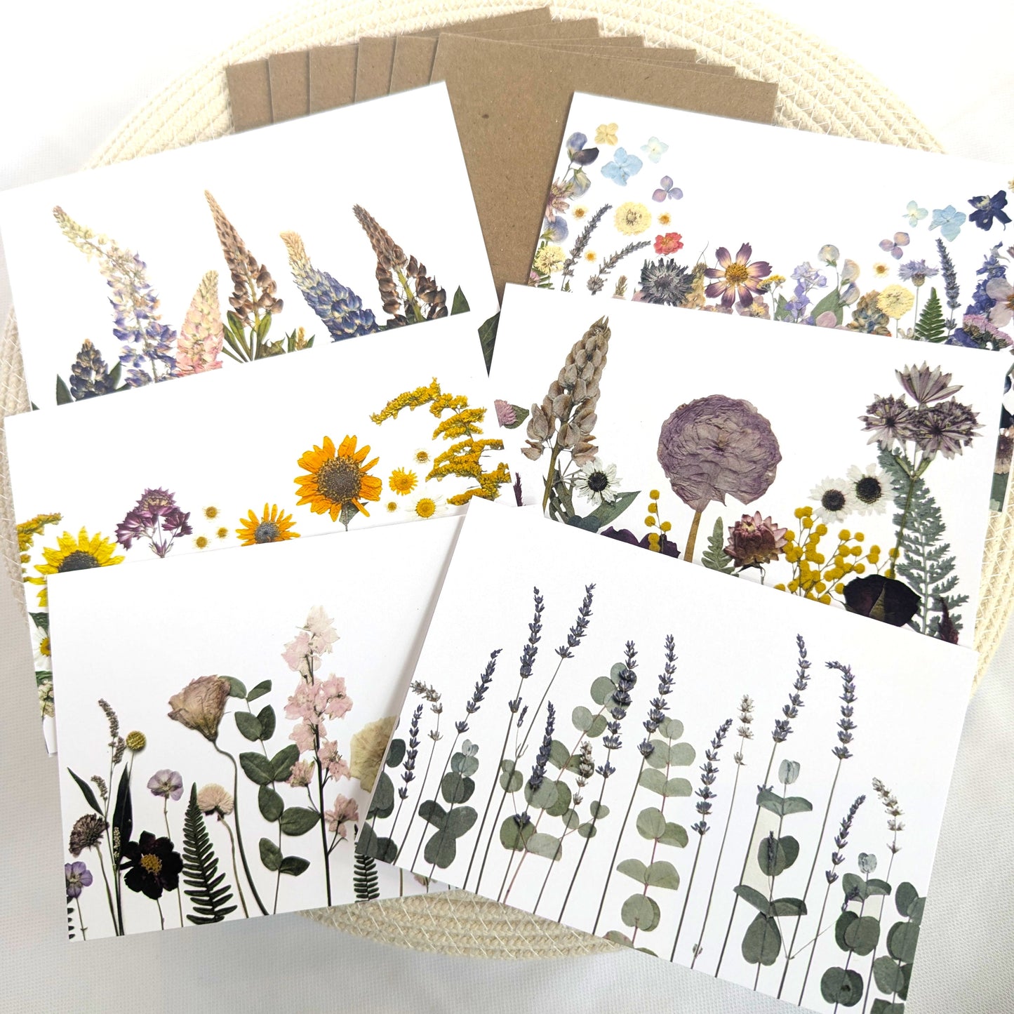 Seek & Bloom Note Card Mixed Sets