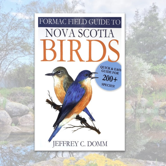 Nova Scotia Birds
