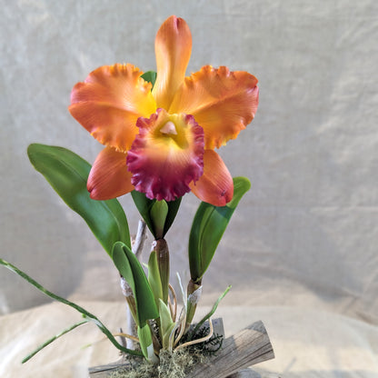 Chaba's Clay Flowers - Cattleya Orchid on Driftwood