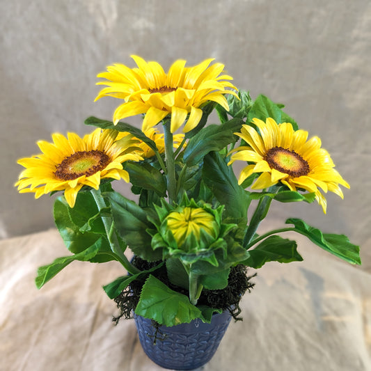 Chaba's Clay Flowers - Sunflowers in Blue Pot