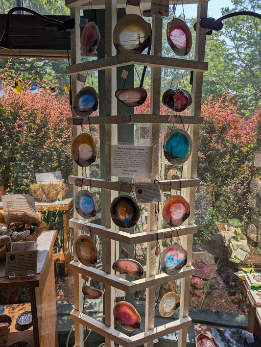 Seashell Suncatchers